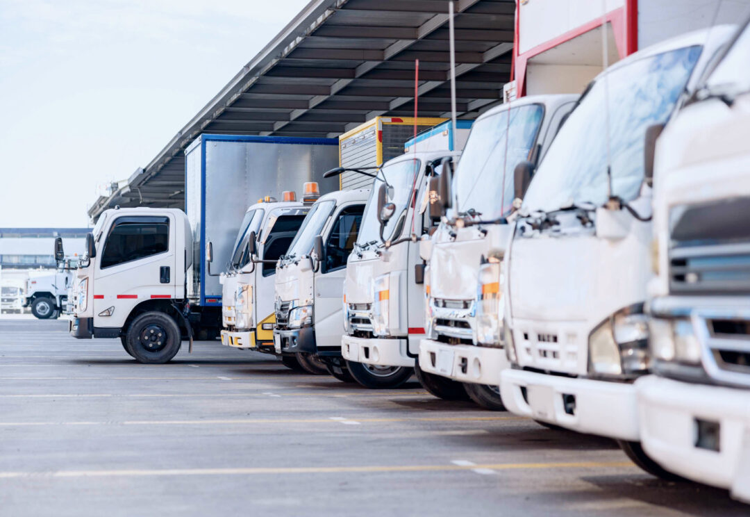 Rows of white fleet trucks parked side-by-side under a loading bay, ready for dispatch or maintenance, representing fleet logistics and operations.