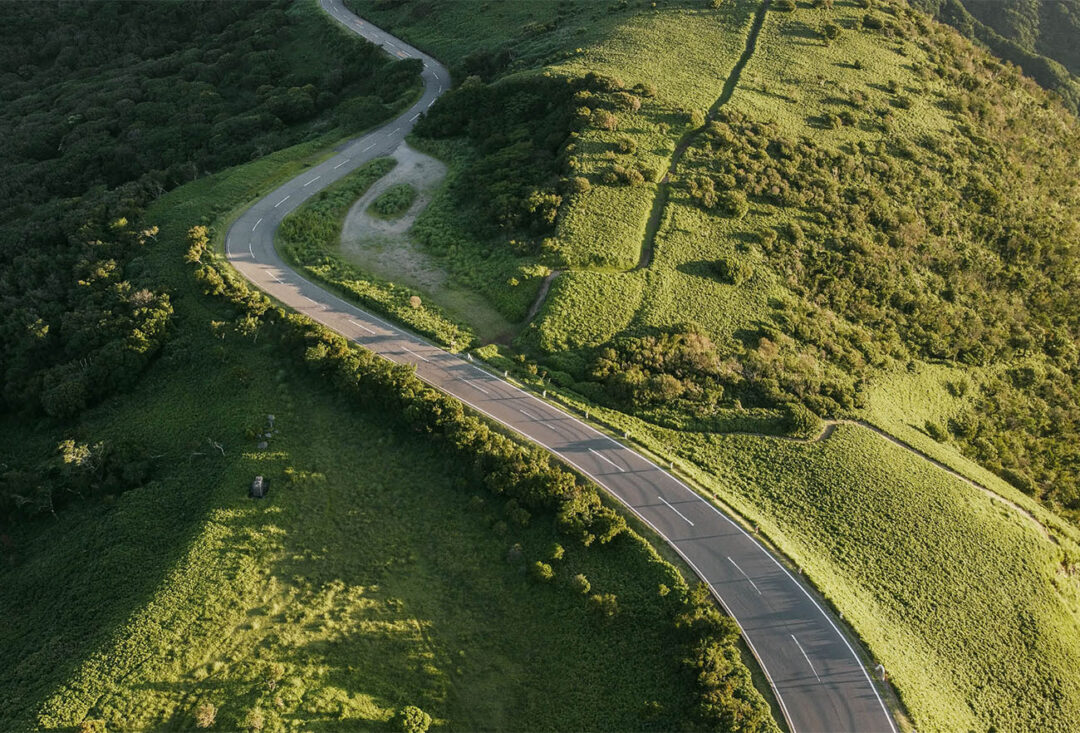 Green landscape with threes with a road going through it.
