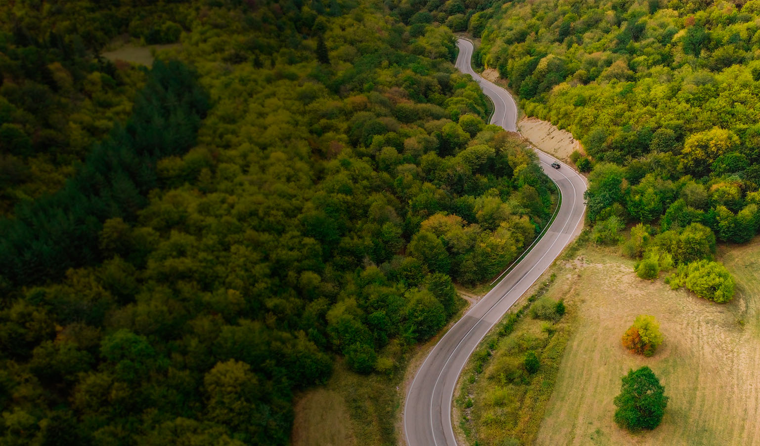 Car driving on a road trough nature