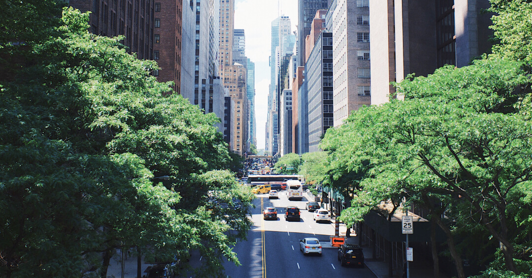 Cars driving on the streets of New York with lots of trees around