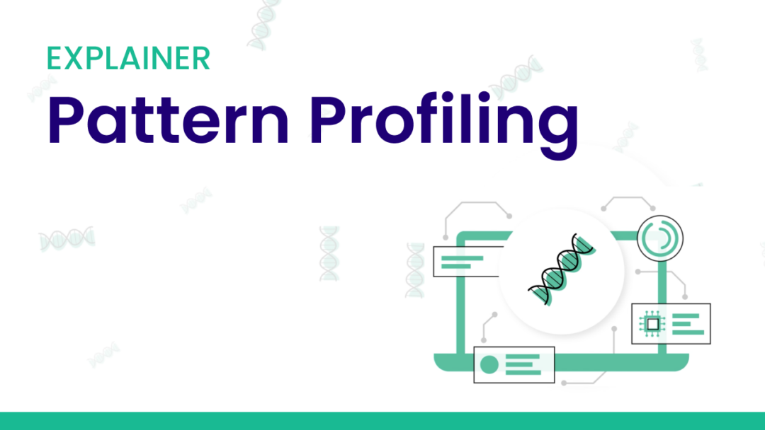 Explainer Pattern Profiling