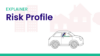Risk Score Explainer feature