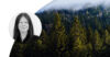 Fir forest with low clouds. Profile image of Liselott Johansson.